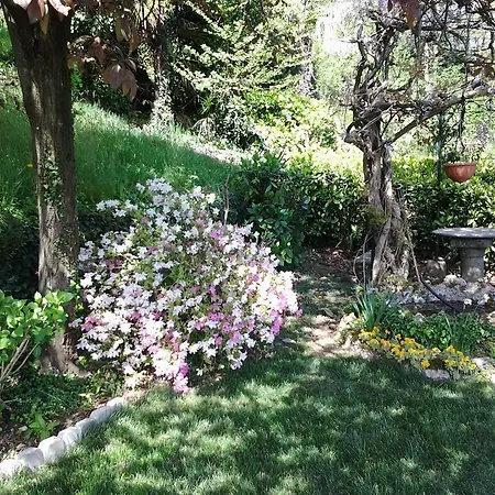 Bed & Breakfast Adelaide *